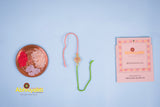 Shades-of-India Fancy Rakhi - Send to US ( FREE SHIPPING )